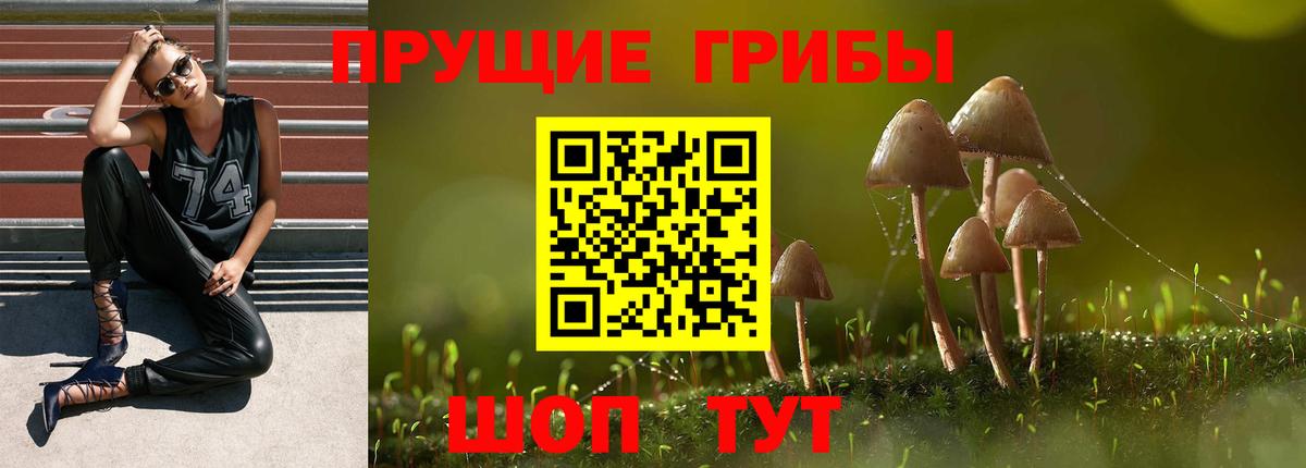 Псилоцибиновые грибы MAGIC MUSHROOMS Берёзовский